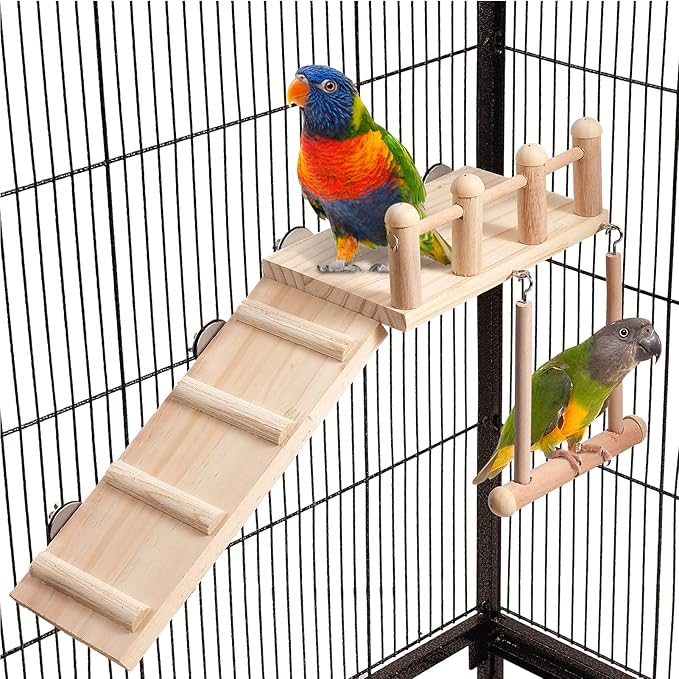 Bird Perches Platform Swing with Climbing Ladder