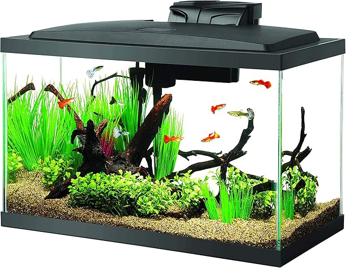 Aqueon Aquarium Fish Tank Starter Kit with LED Lighting